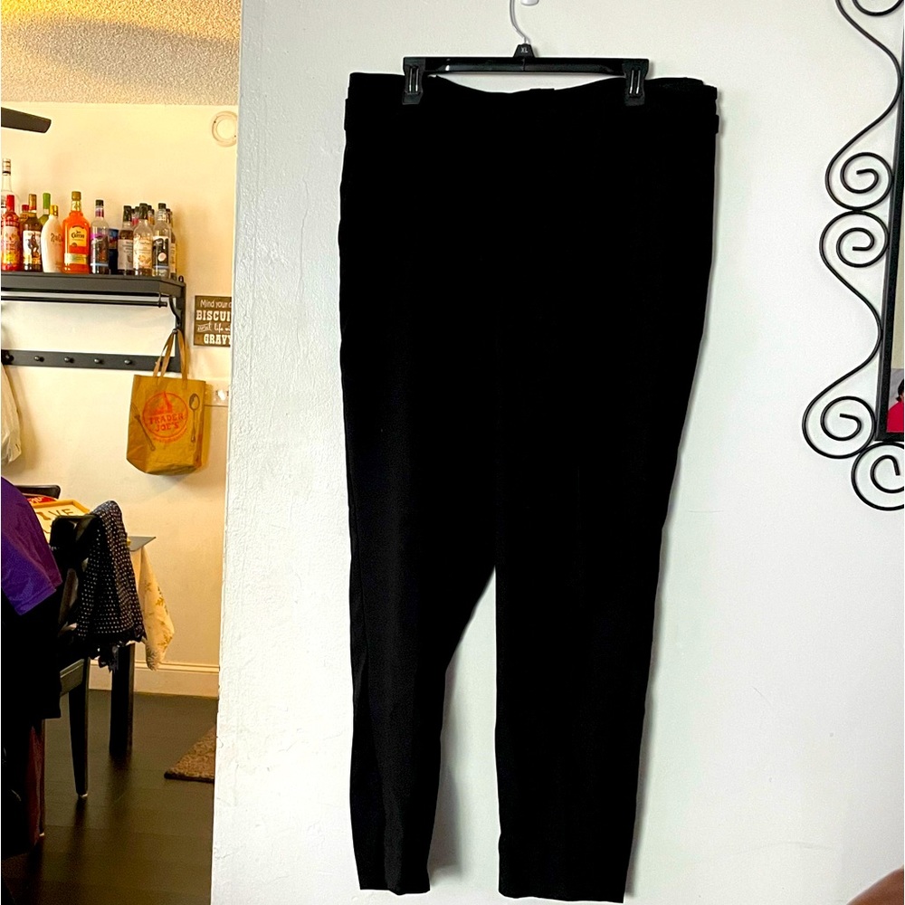 Express Dress Pants